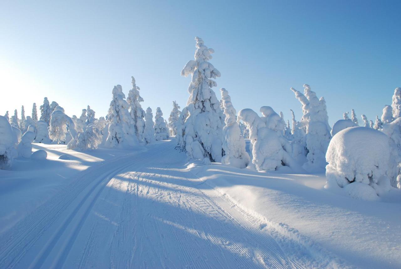 Nuoriso- Ja Luontomatkailukeskus Oivanki Экстерьер фото